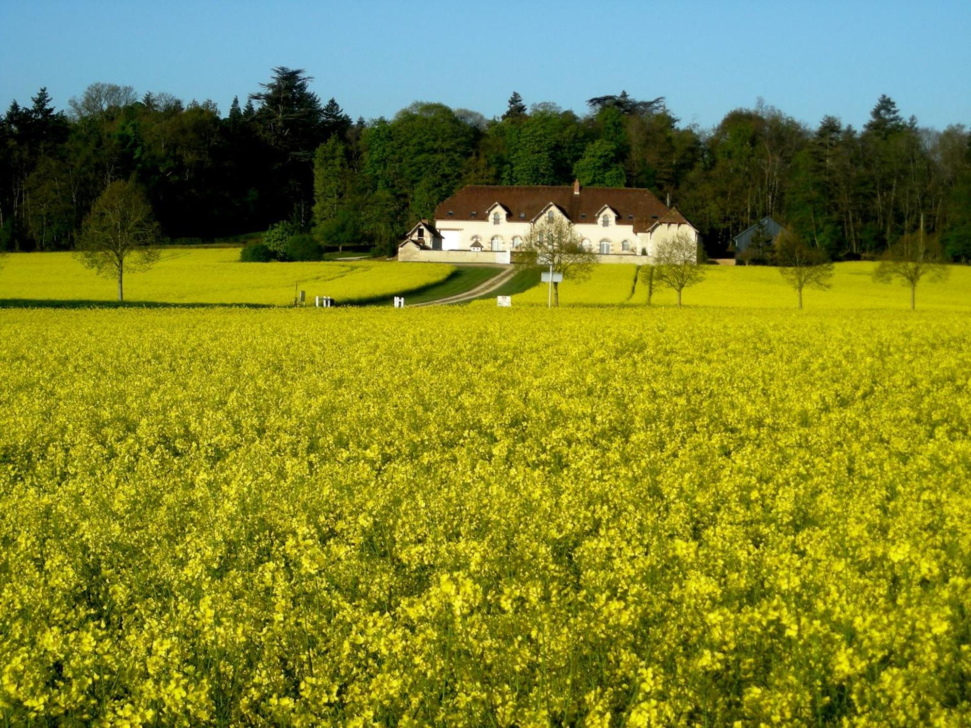 Domaine De La Maison Neuve Saint-Jean-Saint-Germain Kültér fotó