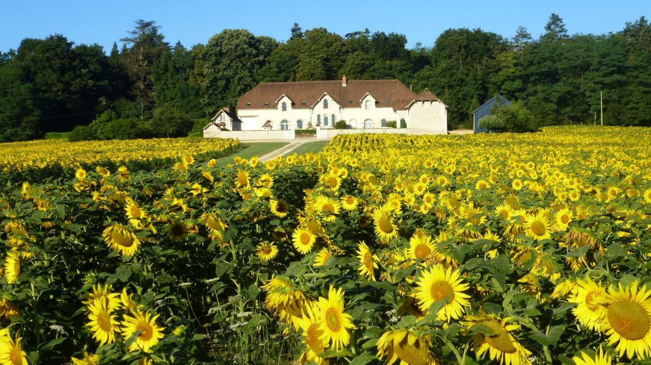 Domaine De La Maison Neuve Saint-Jean-Saint-Germain Kültér fotó