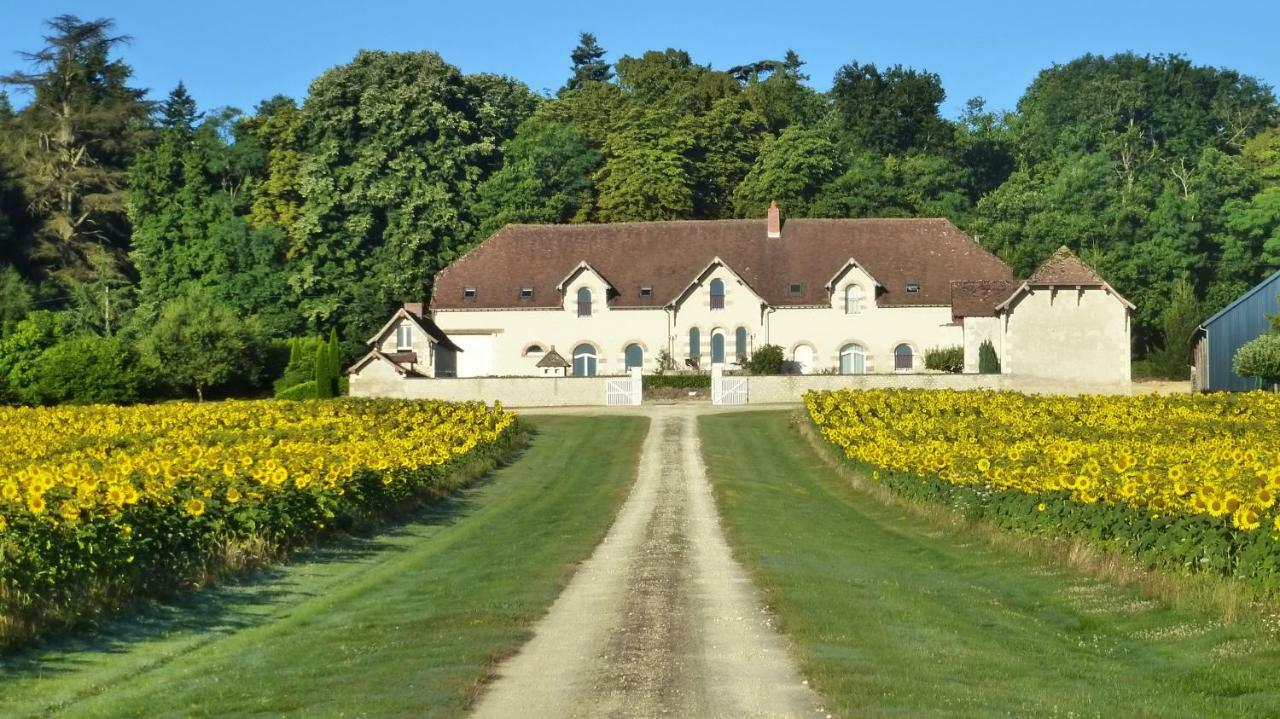 Domaine De La Maison Neuve Saint-Jean-Saint-Germain Kültér fotó